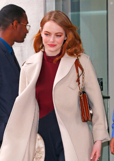 emmastone姐表情包