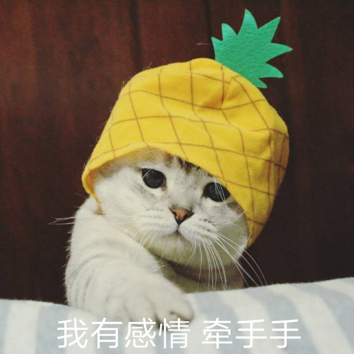 猫猫表情包 菠萝头