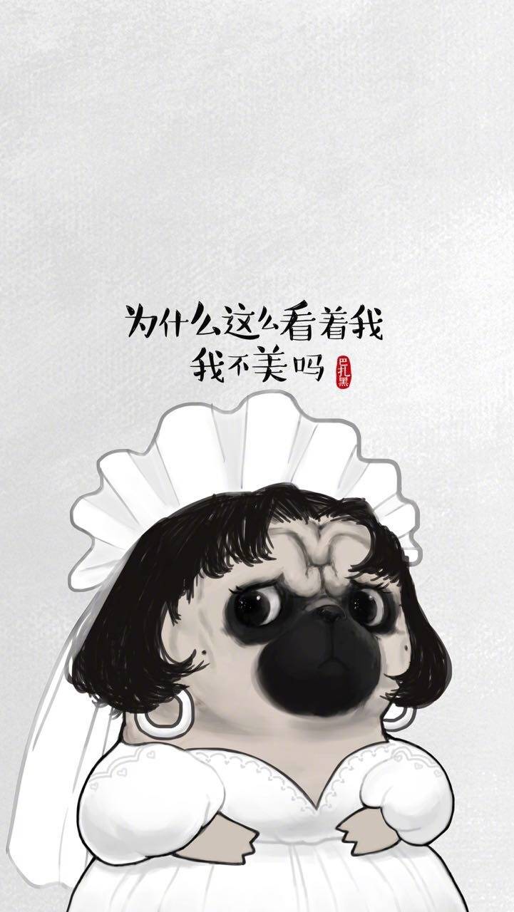 就不赌憧不惯我又干不掉我的样子