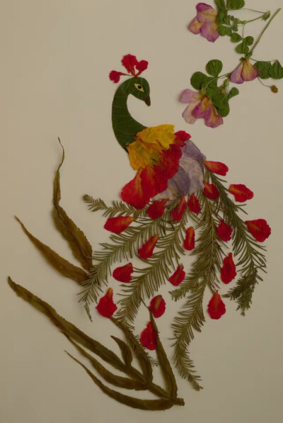 用花瓣,树枝,树叶,各式花草菌木为素材,拼凑出一幅幅灵巧可爱的作品