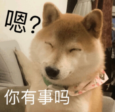 来自微博:@追大鹅 超级可爱的博主制作表情包 收藏了