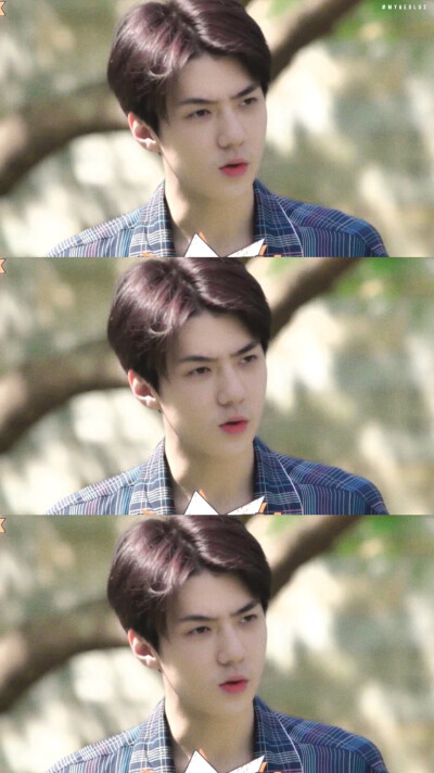 sehun 吴世勋