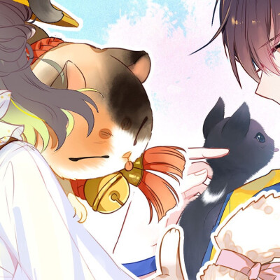 拎猫入住