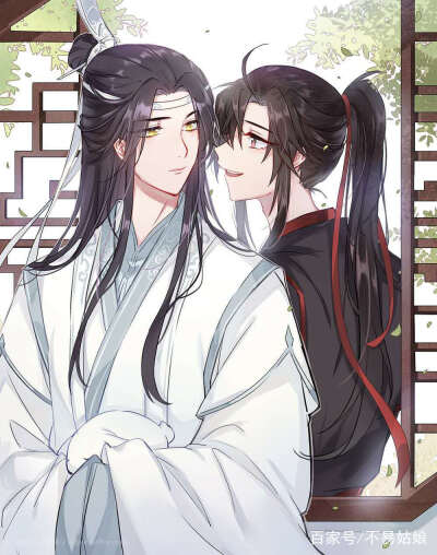 动漫#魔道祖师#小说#蓝忘机#魏无羡