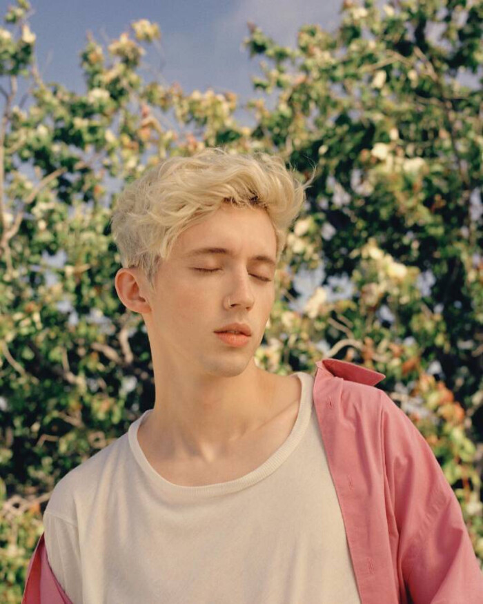 troyesivan