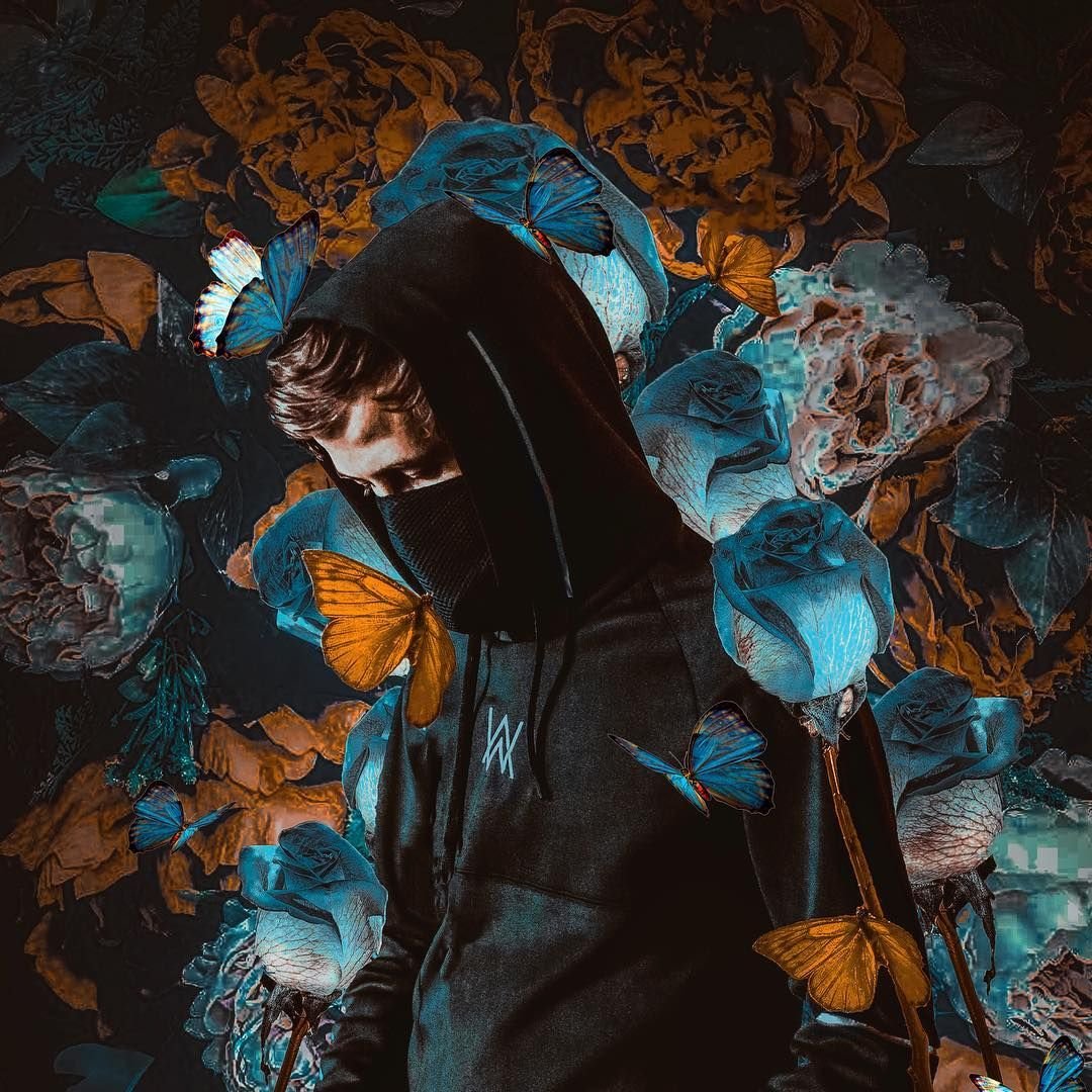 alan walker