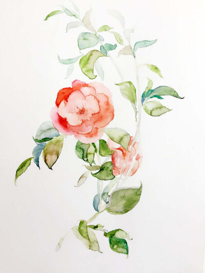 古风花卉