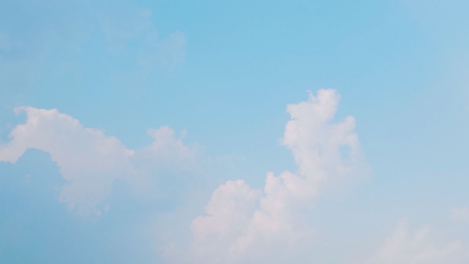 『自拍 自调』背景图 少女心 粉花叶 天空 风景 森系未经允许禁止二传