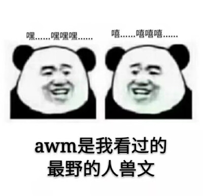 《awm》 漫漫何其多这个图我哈哈哈哈哈哈哈哈