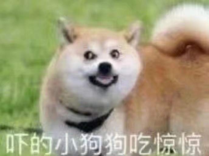 沙雕表情包 熊猫头 - 堆糖,美图壁纸兴趣社区