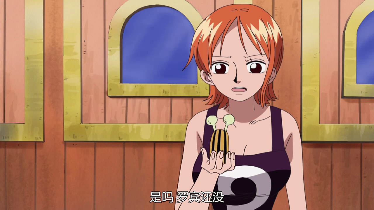 one piece 草帽海贼团娜美