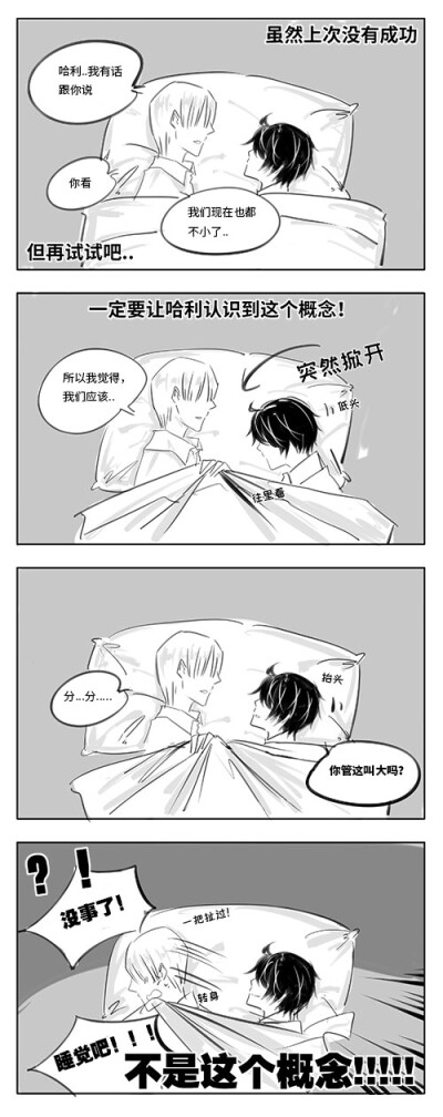 哈利波特 德哈 图源百度贴吧 @萤火碎流光