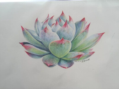 画过的一些彩铅画