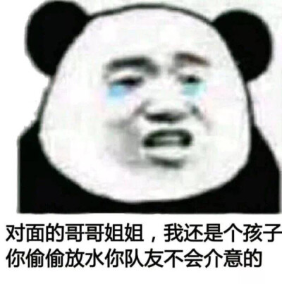 沙雕熊猫头