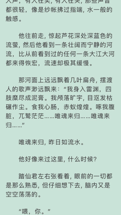 二哈和他的白猫师尊文字