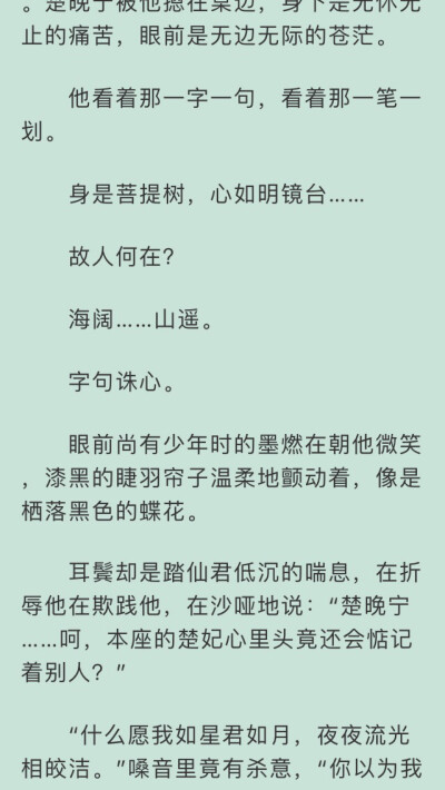 二哈和他的白猫师尊壁纸