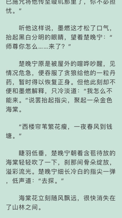 二哈和他的白猫师尊情头