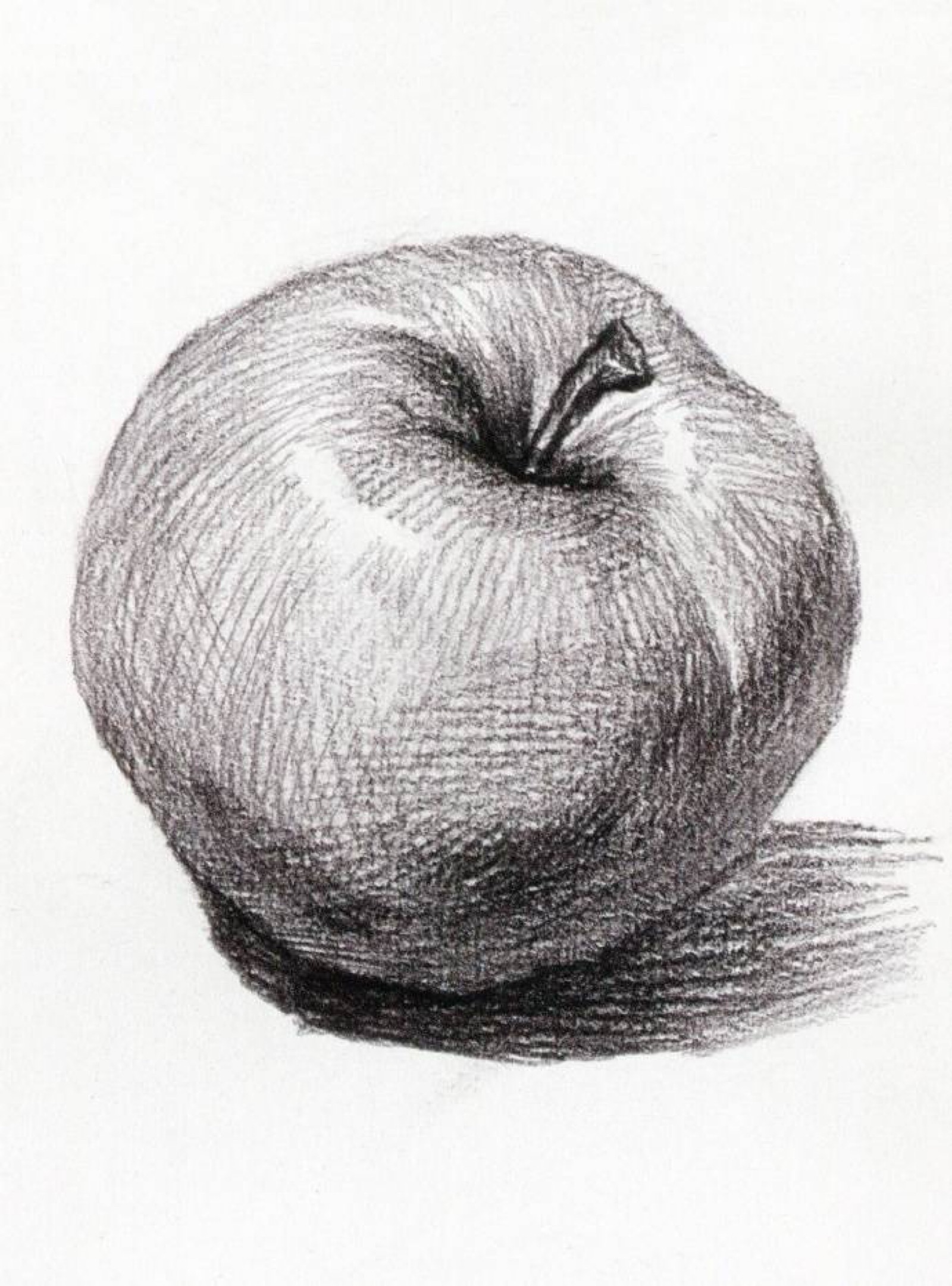 【素描】苹果完整讲解_哔哩哔哩_bilibili
