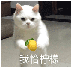柠檬精必备#一波沙雕猫猫柠檬精表情包,点赞收图!