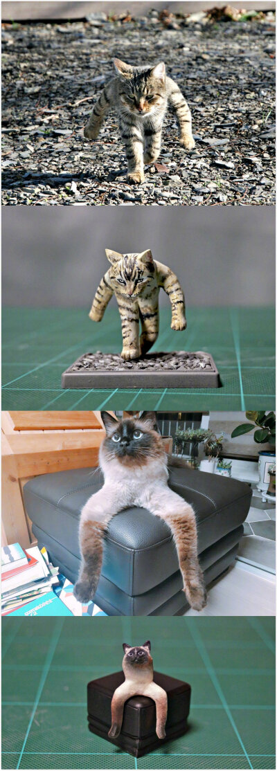日本模型家 meetissai 把沙雕猫咪图片实体化 666 (via.photoblog.hk)