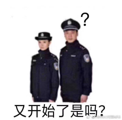 文章警察表情包