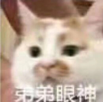 喵:我菜花大盗今天就要糟蹋你发出反派的笑声弟弟眼神啵鸡～我等会回