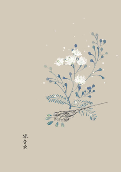 海东青手绘 堆糖 美图壁纸兴趣社区 海东青手绘 堆糖 美图壁纸兴趣社区