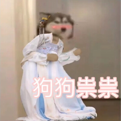 狗狗.祟祟