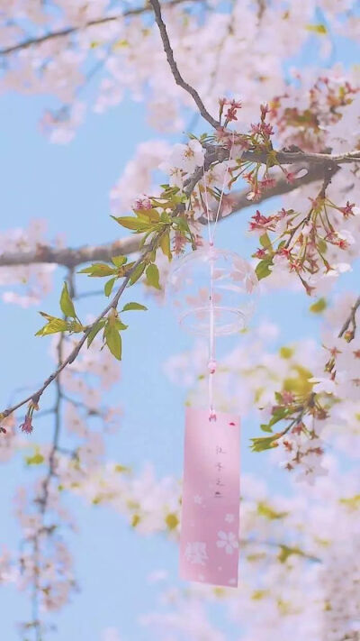 治愈系壁纸