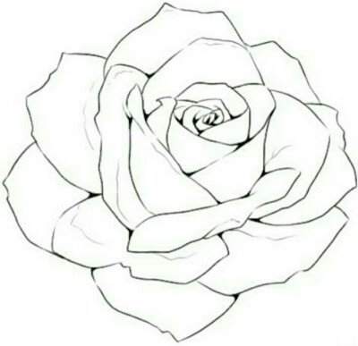 黑白线稿/橡皮章素材/玫瑰花