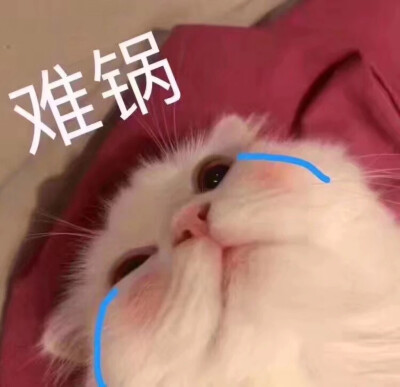 [表情包]找图不易拿图点赞四处找来的图呀深吻草莓贤.