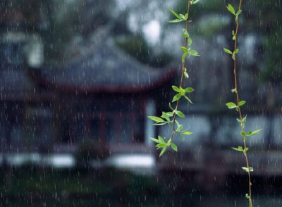 天街小雨润如酥