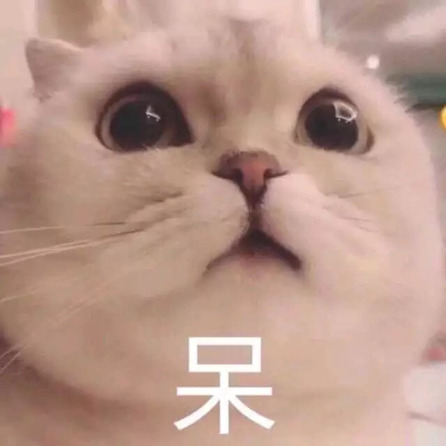 表情包猫猫可爱