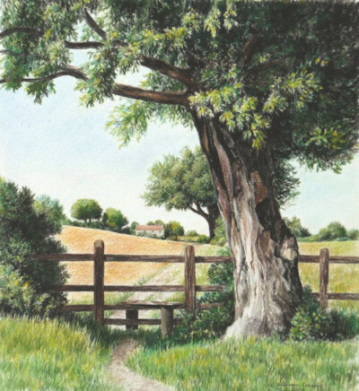 秋天彩铅风景画