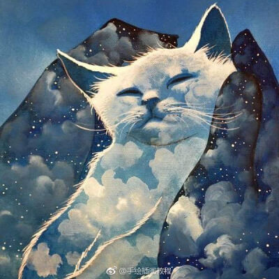 蓝色系猫咪插画 热爱画猫的插画师 raphal vavasseur