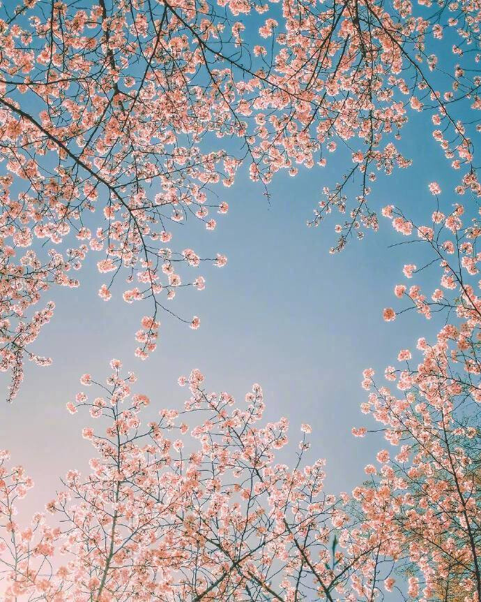 世上有很多美好的事物等着你 你要内心温柔 安静努力