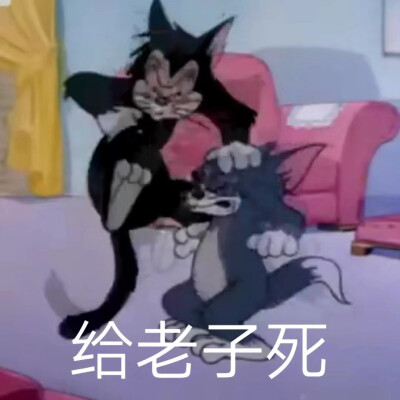 小老鼠泰菲表情包