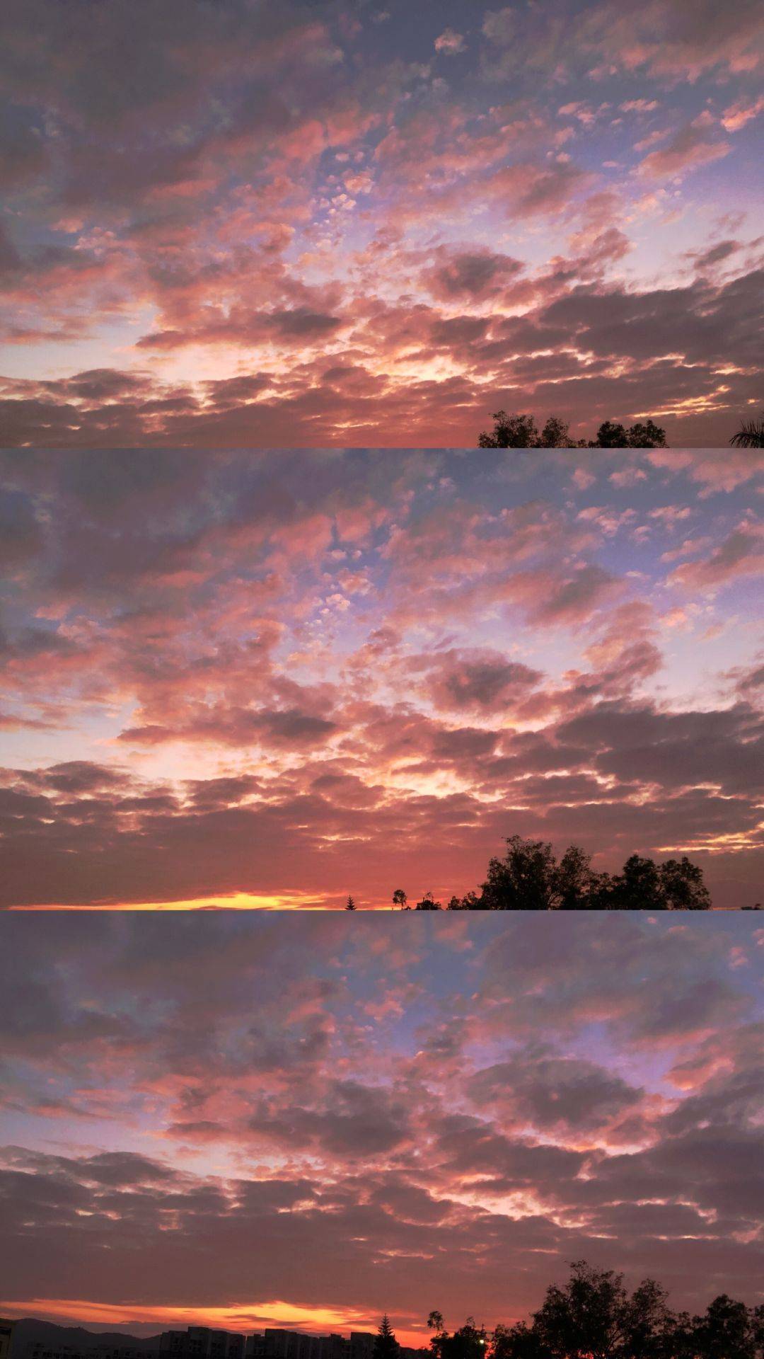 夕阳下女孩背影高清图片下载-正版图片500653753-摄图网