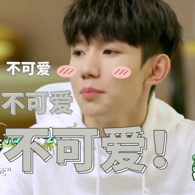 tfboys表情包