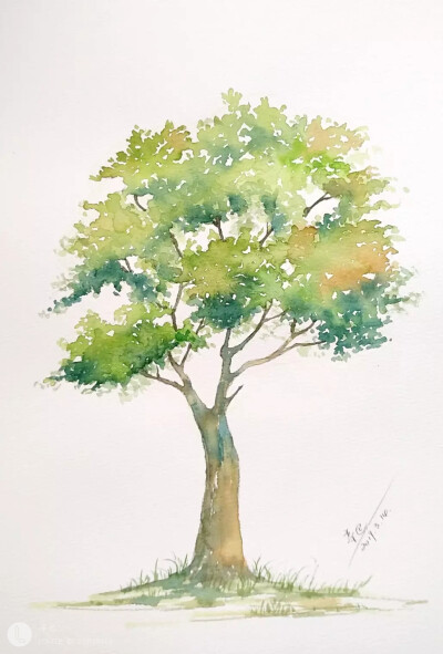 手绘插画唯美小清新森系文艺