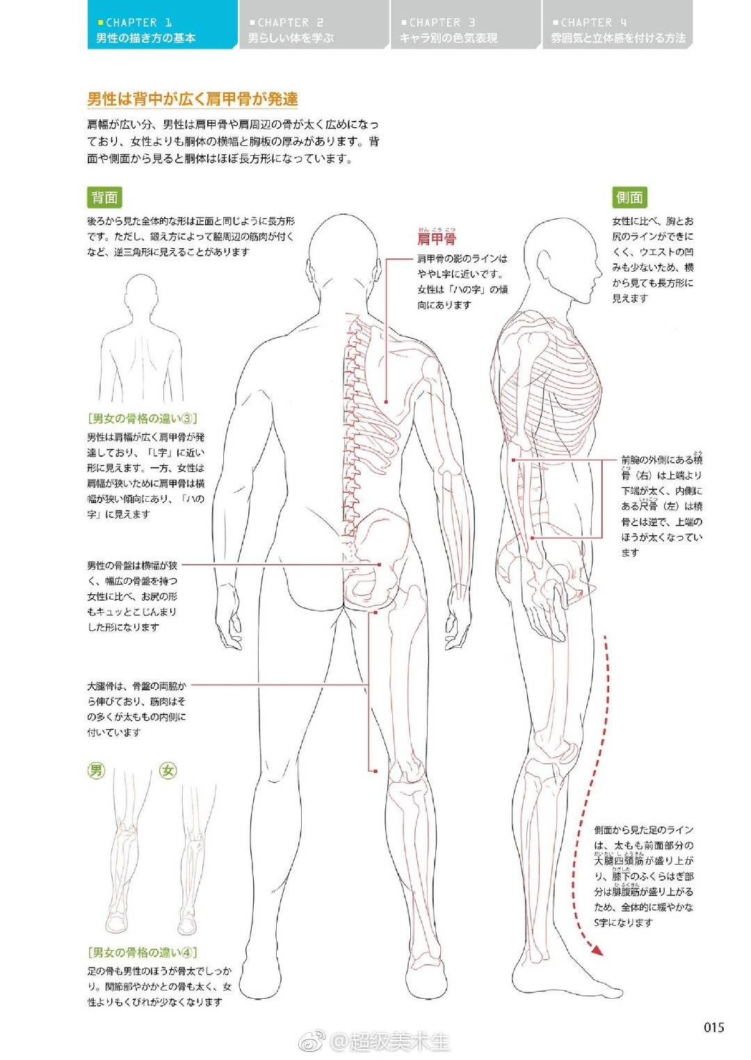 人体 堆糖 美图壁纸兴趣社区