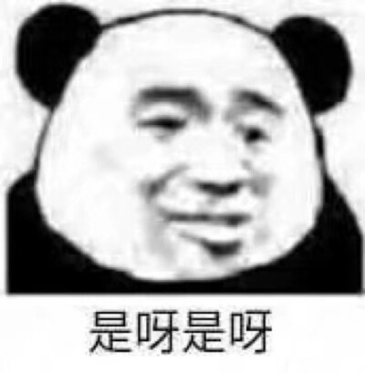 沙雕熊猫头