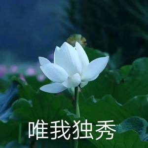 日常中老年头像沙雕头像