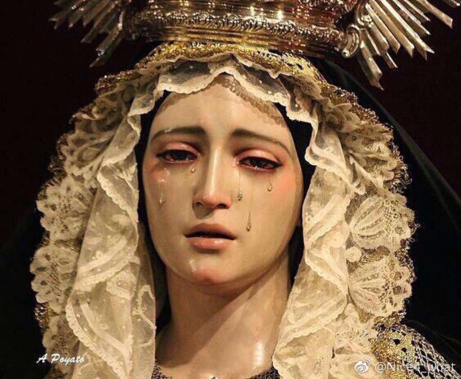 圣母玛利亚 - 圣母瓜达卢佩3D模型 - TurboSquid 1377879