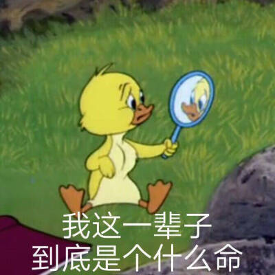 救命啊表情包