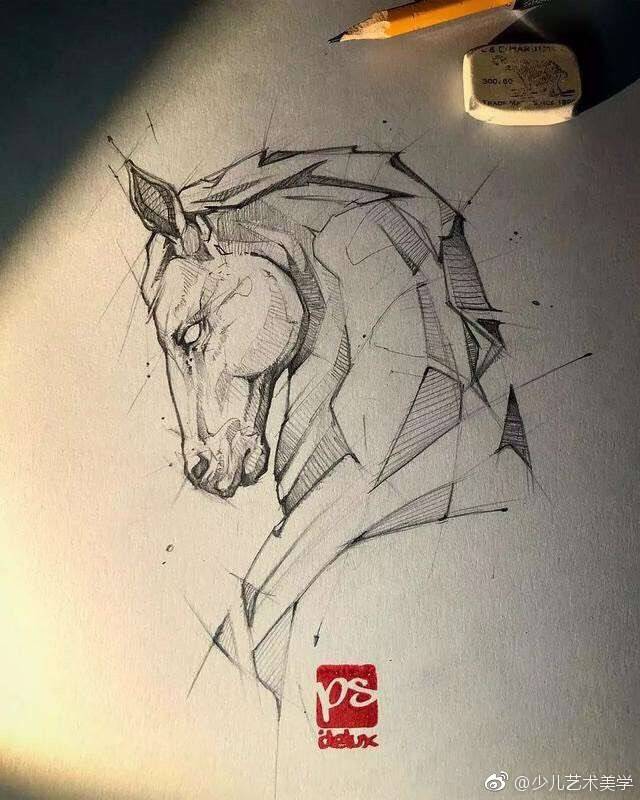 素描动物结构.