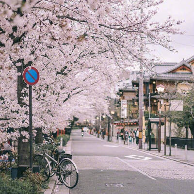 樱花微信背景图粉嫩