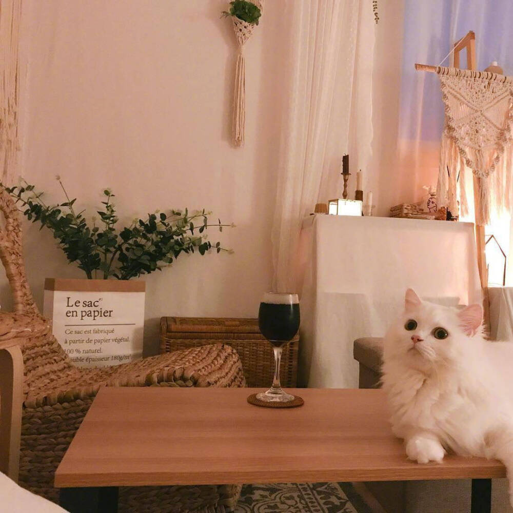 可爱猫猫头像姐妹头像
