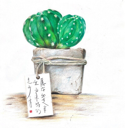 收集   点赞  评论  彩铅 0 37 杨杨的jp  发布到  植物 图片评论 0