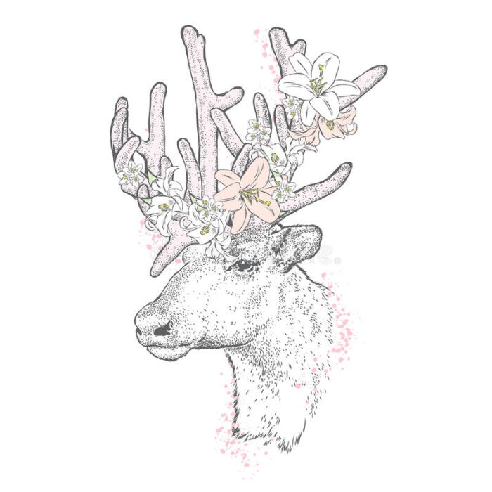 花与动物 堆糖 美图壁纸兴趣社区